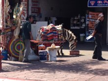Sognando California...marzo2012